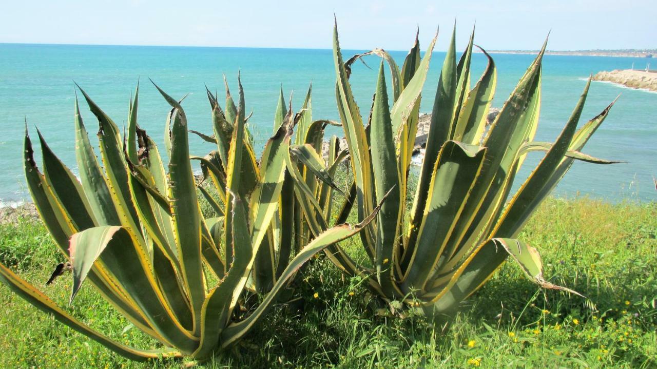 Apartmán Sapori Di Mare Trappeto  Exteriér fotografie